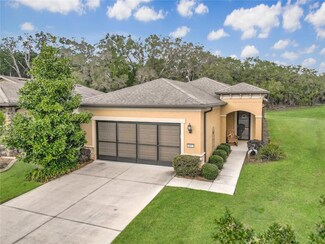 9697 SW 63rd Loop, Ocala, FL 34481