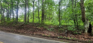 00 Shenango Rd, New Galilee, PA 16141