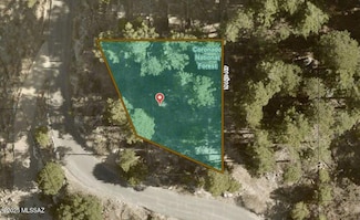 12780 N Loma Linda Ext Rd Unit 19, Mt. Lemmon, AZ 85619
