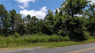 635 Highway 461, Hineston, LA 71438