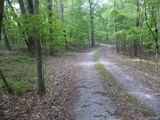 3735 (lot 11) County Road 166 (Citadel Rock Road), Fort Payne, AL 35967
