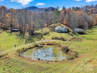 321 Lyle Ln, Green Mountain, NC 28740