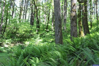 West of 31849 Mcloughlin Dr, Philomath, OR 97370
