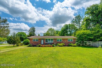 5228 Blue Clay Rd, Castle Hayne, NC 28429