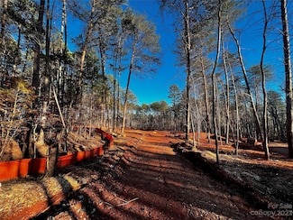 130 Hunt Camp Trail Unit 14, Davidson, NC 28036