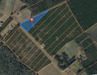 Lot B1 State Road S-26-266, Nichols, SC 29581