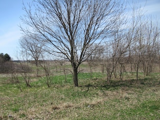 2-60267 Century Dr, Lagrange Township, MI 49031