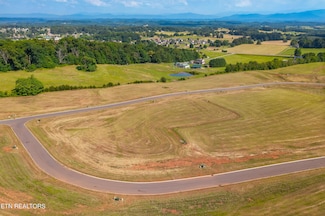Lot 76 Meadow Rose Dr, White Pine, TN 37890