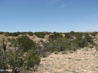 546 Flat Bush Rd Unit 815, Heber, AZ 85928
