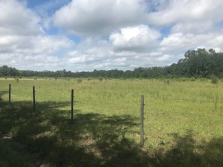 0 Cat Branch Rd Unit Parcel B 19024110, Grays, SC 29916