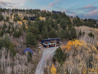 1044 Alps Hill Rd, Idaho Springs, CO 80452