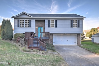 116 Millard Ln, Blountville, TN 37617