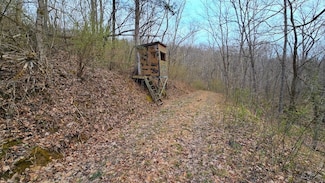 0 Bursot Branch Road Lot Unit WP001, Vevay, IN 47043
