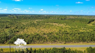 Tbd Baxter Durrence Rd, Glennville, GA 30427