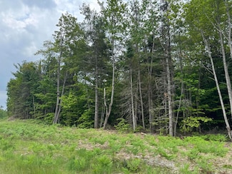 52 acres U S Highway 2, Moran, MI 49760