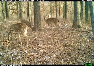 0 Tbd Raven Rd Unit Lot WP001, Granby, MO 64844