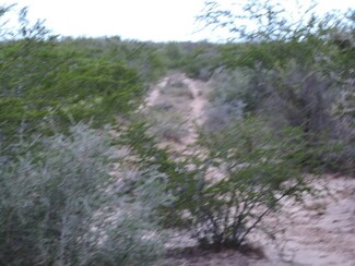 Hwy 83 Out of Area, San Ygnacio, TX 78067