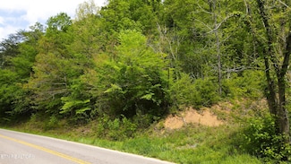 0 S Jones Cove Rd Unit 1293319, Sevierville, TN 37876