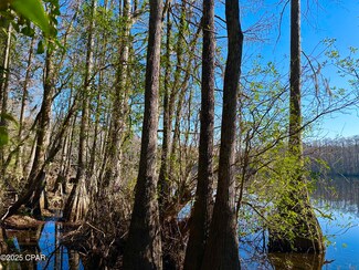 4661 Moss Hill Rd, Chipley, FL 32428