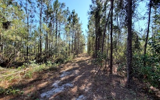 0 Brown Rd Unit 123990, Lee, FL 32059