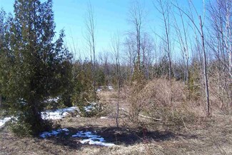 0 Charlevoix View Dr Unit 217, 218, 219 467607, Charlevoix, MI 49720