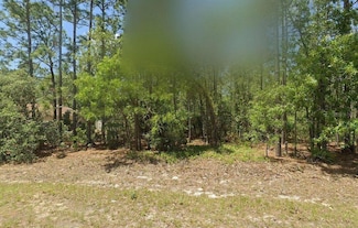 3765 W Forest Dr, Citrus Springs, FL 34433