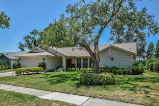 2517 Bucknell Dr, Valrico, FL 33596