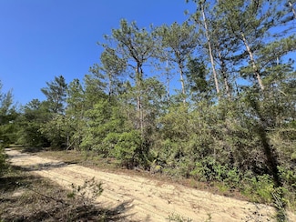 0 Clearwater Dr Unit 975061, Defuniak Springs, FL 32433