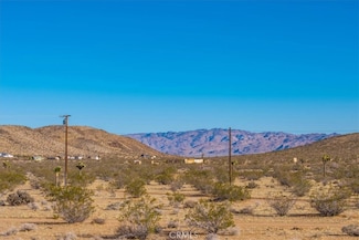 1631 Alta Ave, Johnson Valley, CA 92285