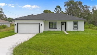 225 Malauka Run, Ocklawaha, FL 32179