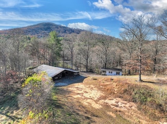 5491 Hardscrabble Rd, Mineral Bluff, GA 30559