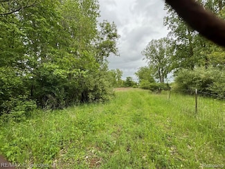 VACANT Oakville Waltz Rd, Exeter Township, MI 48164