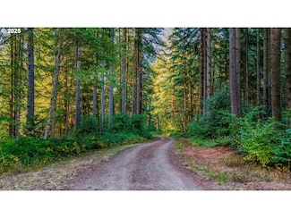 0 NW 389th St Unit 257845145, Woodland, WA 98674