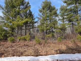 ON Herb Mitchell Rd, Irma, WI 54442