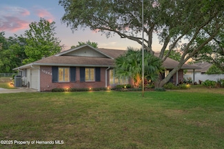 10244 Horizon Dr, Spring Hill, FL 34608