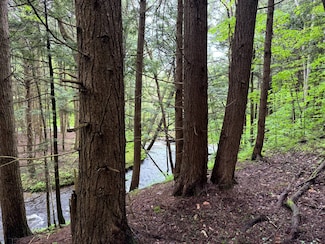 1.5 Jones Hill Rd Unit 5, German, NY 13801