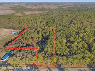 0 Burwell Rd, Webster, FL 33597