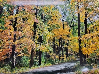 VL N Shore Dr, Delton, MI 49046