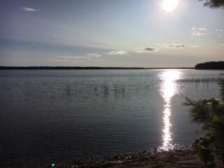 #6 Manitou Shores Trail, Levering, MI 49755