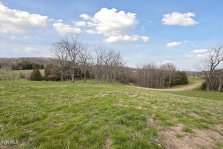 Tbd Tennessee 75, Blountville, TN 37617