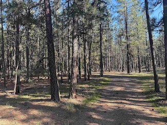25815 W Long Lake Rd, Ford, WA 99013