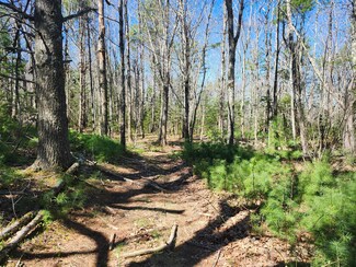 74 Mountain Rd, Woolwich, ME 04579