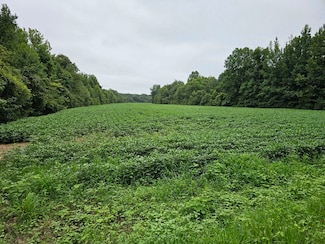 0 Tennessee 125, Henderson, TN 38340