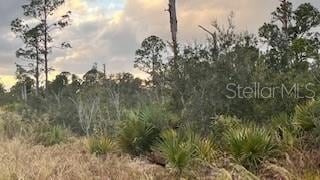 215 Vireo Ave, Sebring, FL 33870