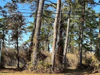 244A1 Ridge Rd Unit 244A1, Chincoteague, VA 23336