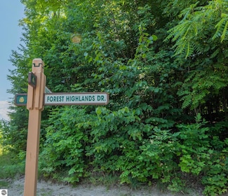 Lot 165 Forest Highlands Unit 165, Kearney Township, MI 49615