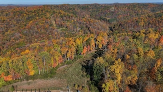 TBD Nutter Fork, West Union, WV 26456