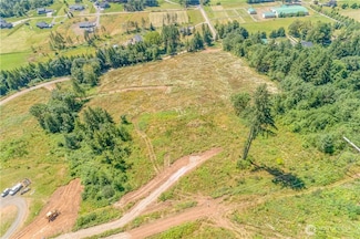 393 Hansen Ext Rd, Woodland, WA 98674