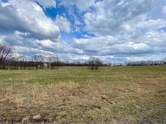 11 High Meadow Dr, Dry Fork, WV 26260