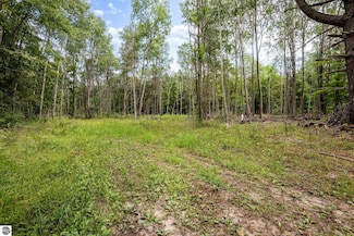 TBD E Klees Rd, Crystal, MI 48818